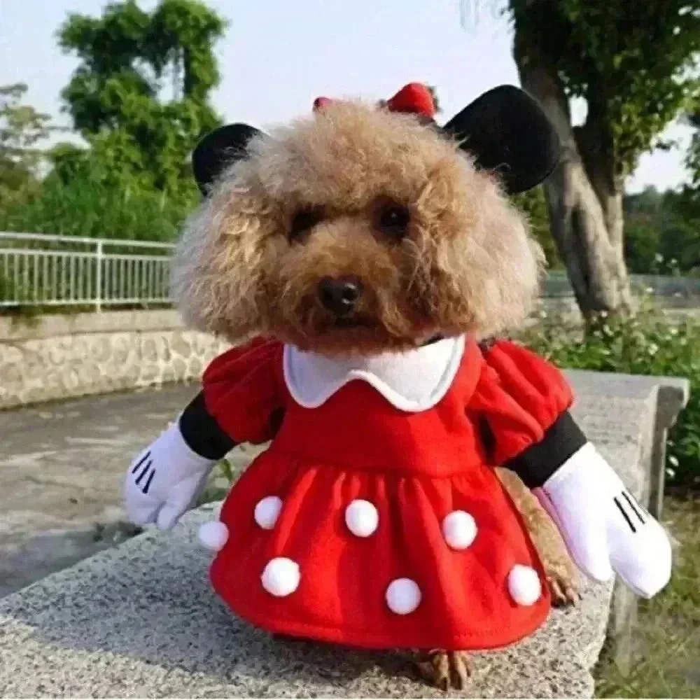 Disney Minnie and Mickey Dog Costume Size Small NWOT